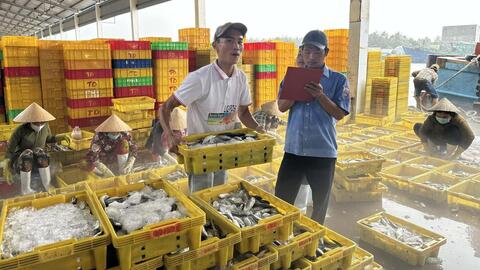 Hệ lụy từ “thẻ vàng” EC