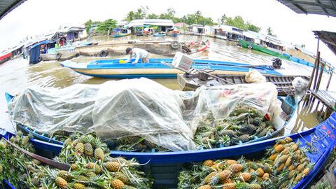 Lênh đênh kiếp thương hồ