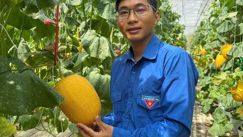 Gieo ý tưởng, gặt thành công
