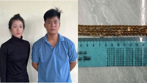 Tạm giữ 2 đối tượng cướp giật tài sản