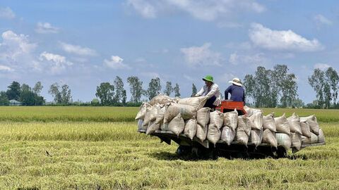 Phát huy vai trò quản lý nhà nước về khoa học, công nghệ