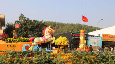 Tết hải đảo