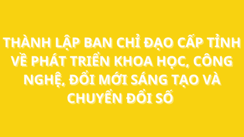 Thành lập Ban Chỉ đạo cấp tỉnh về phát triển khoa học, công nghệ, đổi mới sáng tạo và chuyển đổi số tỉnh Ninh Bình