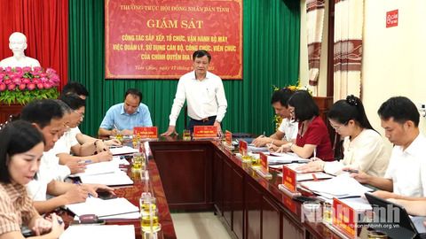 Thường trực HĐND tỉnh giám sát công tác vận hành bộ máy, bố trí cán bộ tại phường Tam Chúc