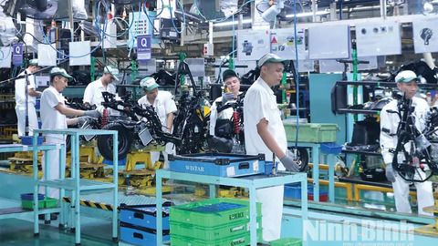 Ngành thuế Ninh Bình nỗ lực hoàn thành nhiệm vụ thu ngân sách