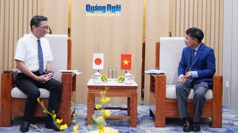 Phó Chủ tịch UBND tỉnh Nguyễn Ngọc Sâm tiếp Tổng Lãnh sự Nhật Bản tại TP.Đà Nẵng Mori Takero