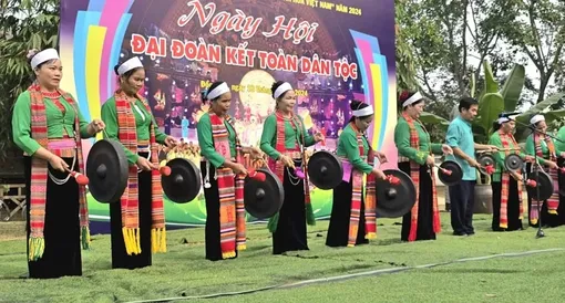 Không thể nhân danh “tự do biểu đạt” để xuyên tạc sự thật về Việt Nam 