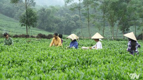 Phú Lạc tự tin bước vào nhiệm kỳ mới