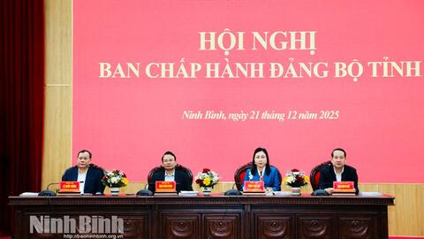 Tỉnh ủy Ninh Bình tổng kết công tác năm, tổng kết công tác kiểm tra, giám sát của Đảng năm 2025