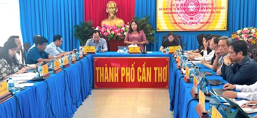 Ban Kinh tế - Ngân sách HĐND thành phố thẩm tra các báo cáo, dự thảo nghị quyết trình tại kỳ họp thứ tư HĐND thành phố 