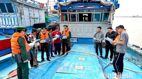 Ninh Bình nghiêm cấm sử dụng chất nổ, xung điện, chất độc, các ngư cụ bị cấm để khai thác thủy sản