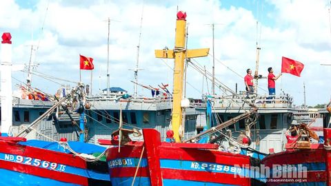 Tăng cường sự lãnh đạo, chỉ đạo trong chống khai thác IUU, gỡ cảnh báo "Thẻ vàng" của EC