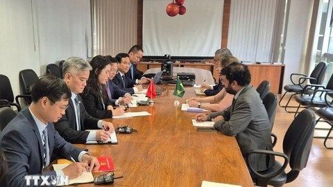 Nhật Bản và Brazil hỗ trợ Việt Nam khắc phục hậu quả bão lũ