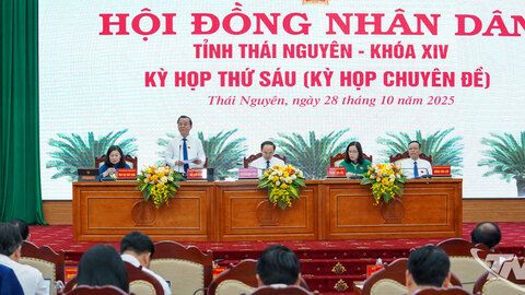 HĐND tỉnh thông qua 6 nghị quyết trọng tâm về an sinh, giáo dục và nhà ở