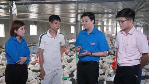 Tuổi trẻ Ninh Bình tự hào, vững tin theo Đảng