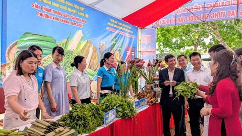 Phụ nữ Ninh Bình tích cực hưởng ứng phong trào “Bình dân học vụ số”