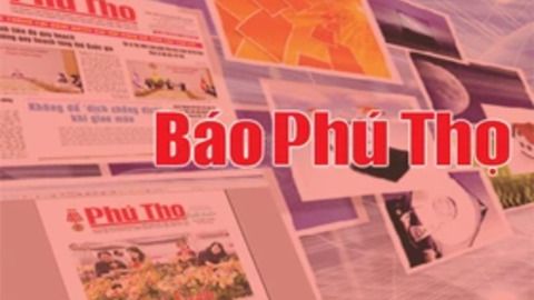 Giá cả thị trường ngày 25/9/2026