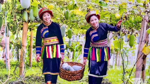 Nâng tầm thương hiệu nông sản