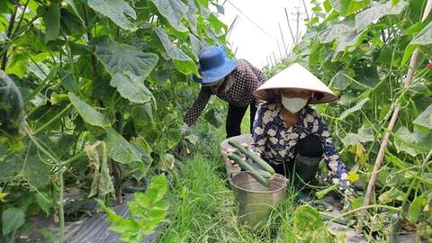 Giảm nghèo bền vững - hành trình nhân văn của Thủ đô Hà Nội