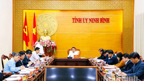 Thường trực Tỉnh ủy nghe báo cáo tình hình thực hiện các Nghị quyết trọng tâm của Bộ Chính trị