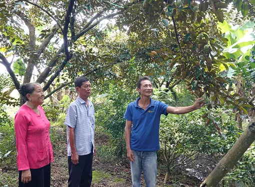 Học Bác, tích cực hỗ trợ nhân dân nâng cao đời sống 