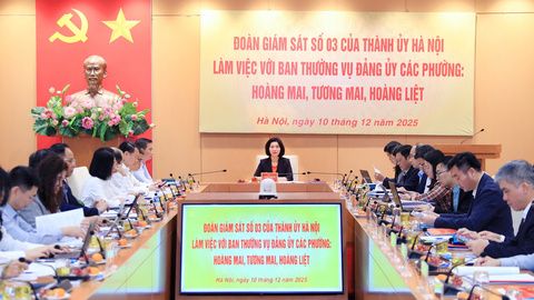 Đoàn giám sát số 3 của Thành ủy Hà Nội làm việc với 3 phường: Hoàng Mai, Tương Mai, Hoàng Liệt