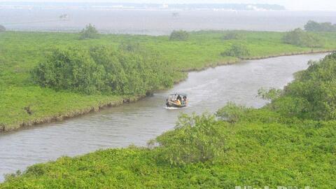 Vườn Quốc gia Xuân Thủy - Vườn Di sản ASEAN đầu tiên khu vực miền Bắc