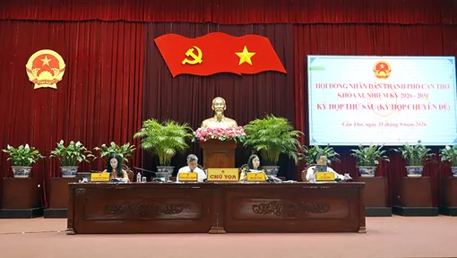 HĐND TP Cần Thơ xem xét, quyết nghị nhiều vấn đề liên quan đến phát triển kinh tế - xã hội 