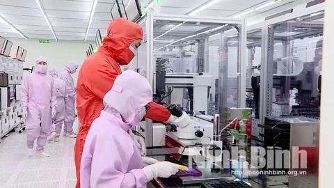 Tích cực lao động, sản xuất chào mừng Đại hội đại biểu Đảng bộ tỉnh Ninh Bình