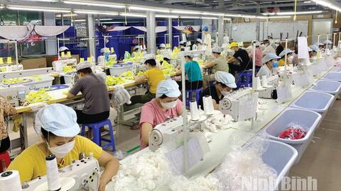 Nâng cao vai trò cụm công nghiệp trong phát triển công nghiệp theo chiều sâu