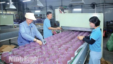 Xuất khẩu Ninh Bình vượt khó, tăng tốc những tháng cuối năm