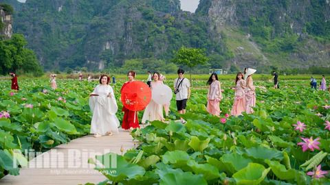 Ninh Bình đón đầu xu thế nông nghiệp hữu cơ