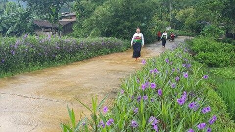 Thanh Hóa: Phát huy vai trò của MTTQ trong xây dựng nông thôn mới