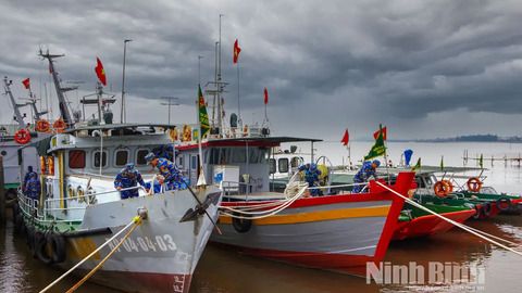 Công điện của Thủ tướng về tập trung ứng phó, khắc phục hậu quả bão số 10