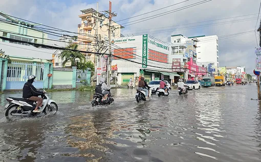 Chủ động ứng phó mưa, bão và triều cường 