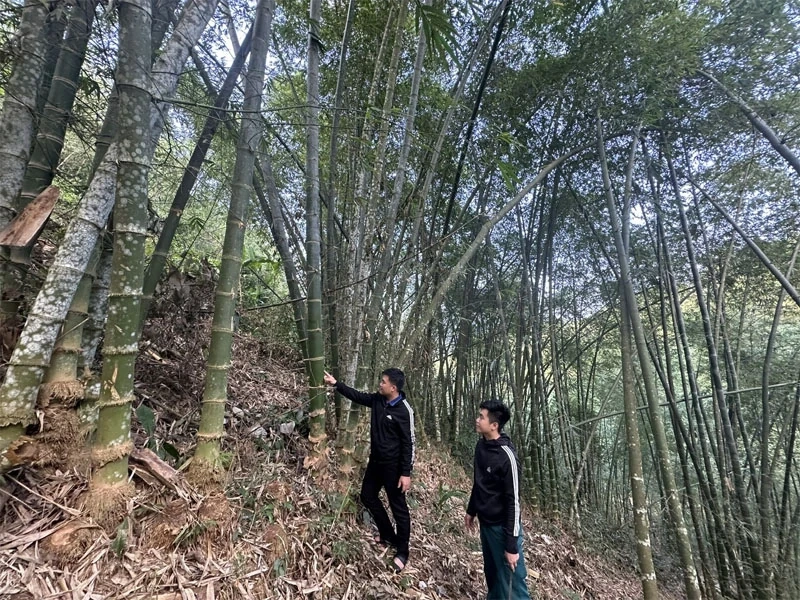 Xã Quan Sơn đưa nghị quyết vào cuộc sống