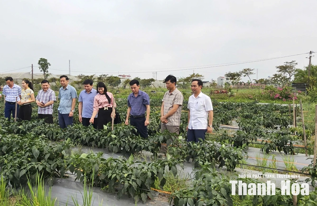 Nga Thắng phấn đấu trở thành xã phát triển khá của tỉnh