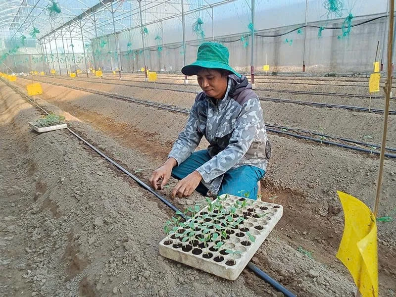 Nông dân trẻ dám nghĩ, dám làm