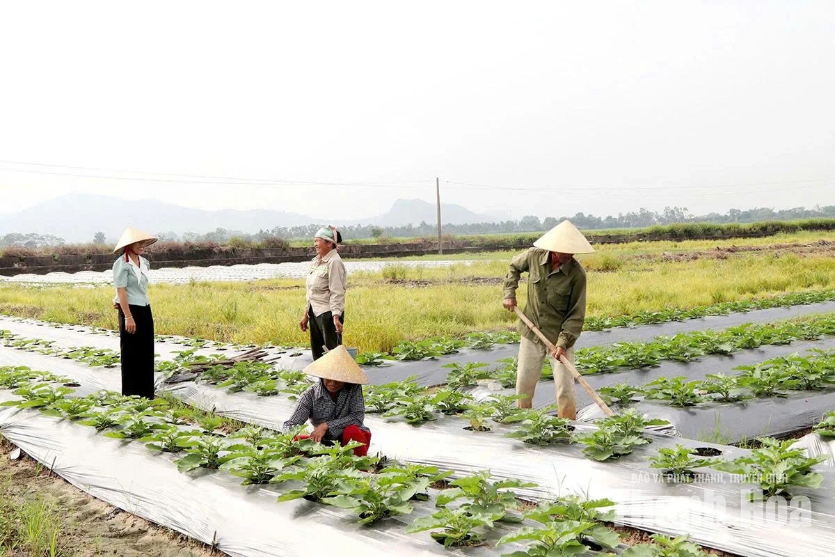 Lợi ích từ việc nâng cao trình độ cho cán bộ thôn