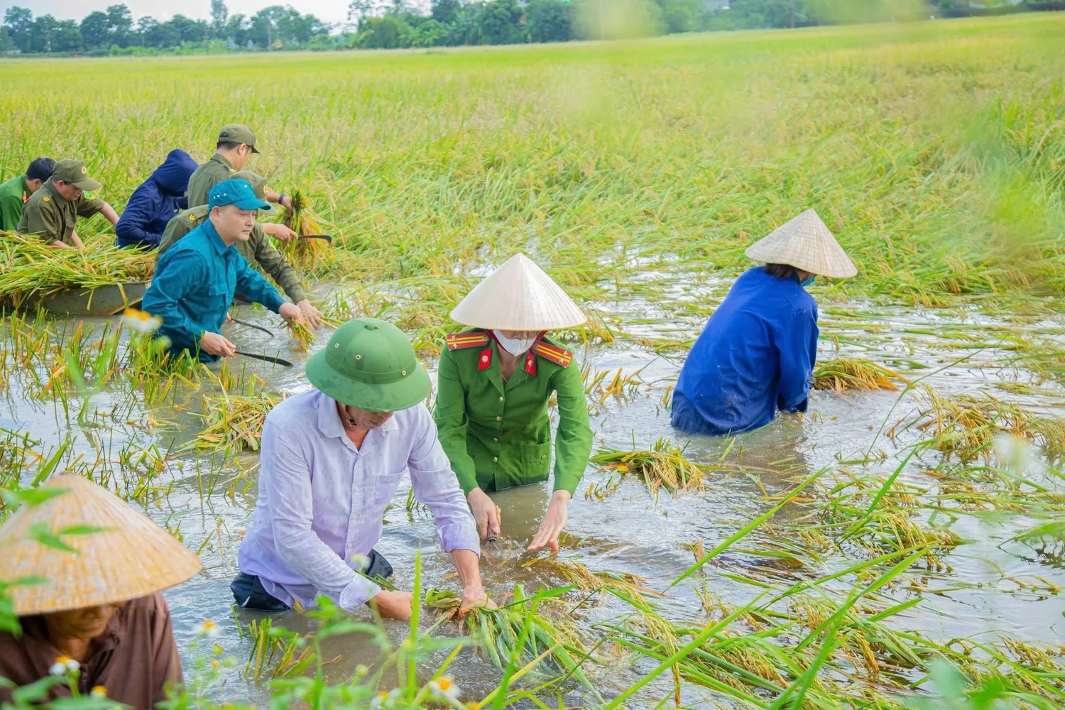 Bám trụ vùng lũ, chung tay đưa cuộc sống trở lại bình thường