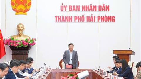 Rà soát, kiểm tra và giải quyết các nội dung kiến nghị cụ thể của cử tri tại Kỳ họp thứ 29, HĐND thành phố khóa XVI