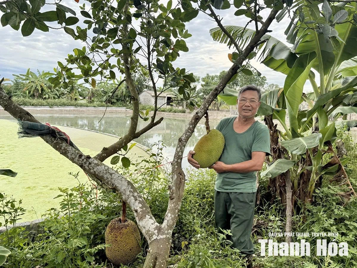 Người cao tuổi xã Thiệu Toán thi đua làm kinh tế giỏi