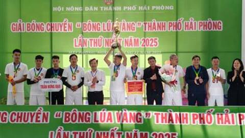 Hội Nông dân thành phố tổ chức Giải bóng chuyền “Bông lúa vàng” lần thứ I – năm 2025