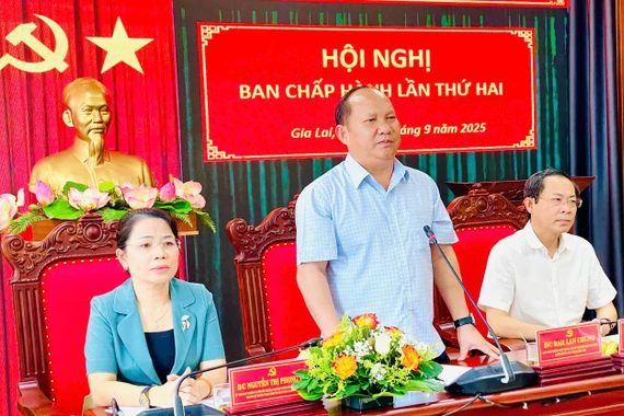 Đảng ủy Các cơ quan Đảng tỉnh Gia Lai triển khai nhiệm vụ quý IV-2025