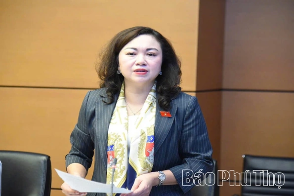 Bổ sung trách nhiệm địa phương trong quản lý, chống khai thác khoáng sản trái phép