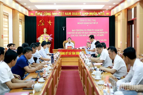 Giám sát đối với Ban Thường vụ Đảng ủy các xã Tân Sơn, Minh Đài, Võ Miếu