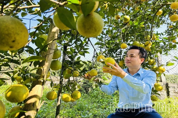 Phát huy vai trò cán bộ, đảng viên