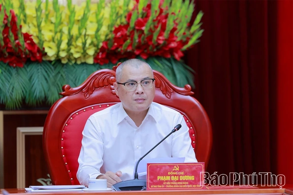 Ban Thường vụ Tỉnh ủy cho ý kiến về phương án tổng thể sắp xếp thôn, tổ dân phố