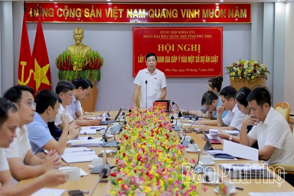 Đoàn đại biểu Quốc hội tỉnh lấy ý kiến tham gia vào một số dự án luật