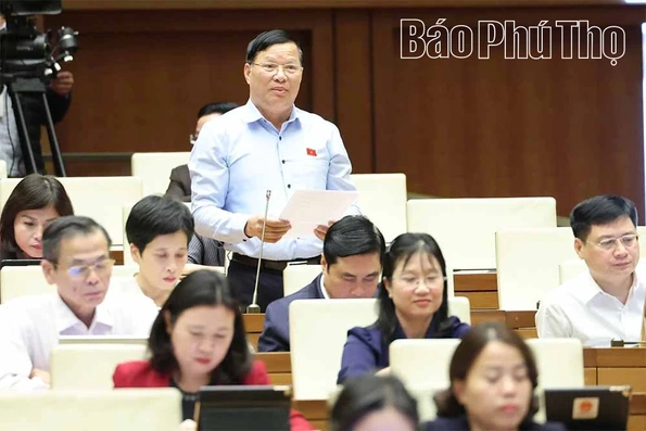 Đề nghị hoàn thiện chính sách phòng, chống ma túy, bảo đảm tính đồng bộ và khả thi